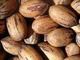 Pecans wanted for export