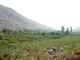 Land For Sale in Trujillo, Peru 2800 hectares