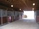 Kentucky Farm- 7 stalls- 26 acres- Lease
