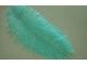 Wholesale natural ostrich feathers for sale