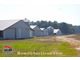 Auction 9.79 +/- Acres & 4 Broiler Houses Grady