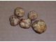 Fresh oregon white truffles