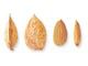 California Almonds (Badam) for sale