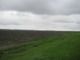 Agricultural Land for Sale in Moldova