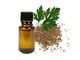 Parsley Seed essential Oil