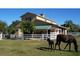 Waterfront Horse Property Alva FL