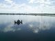 Shrimp Farm in Mexico