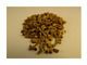 Echinacea purpurea seeds in bulk