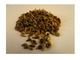 Wholesale Calendula officinalis seeds