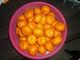 Nanfeng baby honey oranges sweet mandarin for se