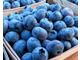 Fresh Blueberries For sale