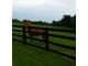 Horse Farm with Log Cabin