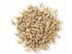 I want to sell  good quality of barley seeds