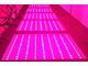 LED Grow Light