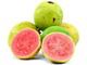 Pink Guava fruits of pulping purpose