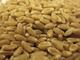 Durum Wheat hard and soft wheat