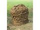 Wholesale cow dung supplies