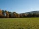 34 acres prime farmland near Albany NY