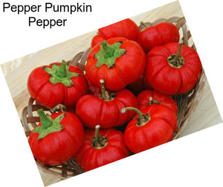 Pepper Pumpkin Pepper