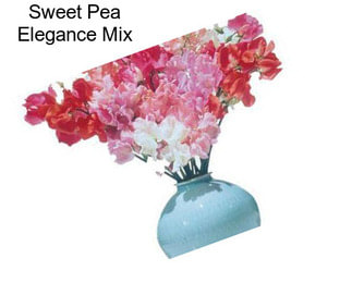 Sweet Pea Elegance Mix