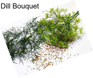 Dill Bouquet