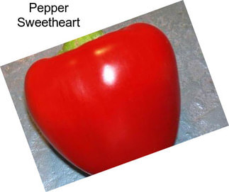 Pepper Sweetheart
