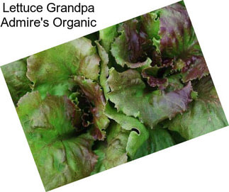 Lettuce Grandpa Admire\'s Organic