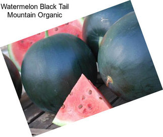 Watermelon Black Tail Mountain Organic