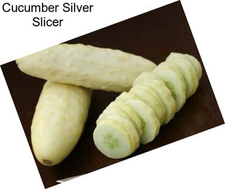 Cucumber Silver Slicer