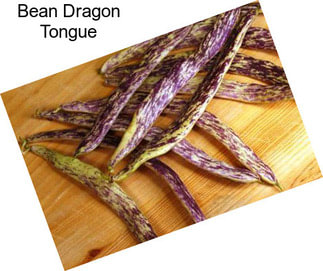 Bean Dragon Tongue