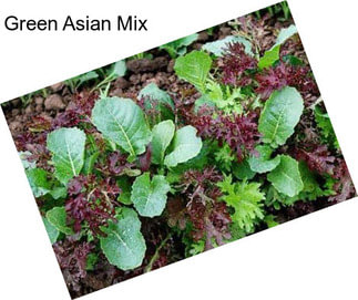 Green Asian Mix
