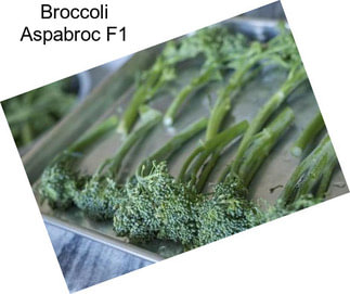 Broccoli Aspabroc F1