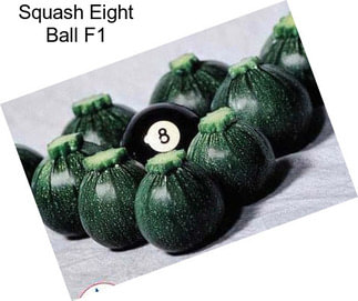 Squash Eight Ball F1