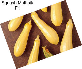 Squash Multipik F1