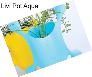 Livi Pot Aqua
