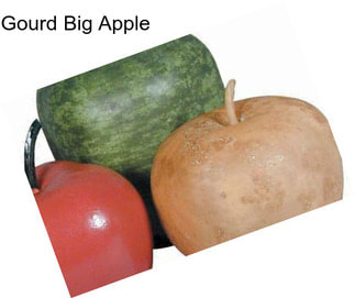 Gourd Big Apple