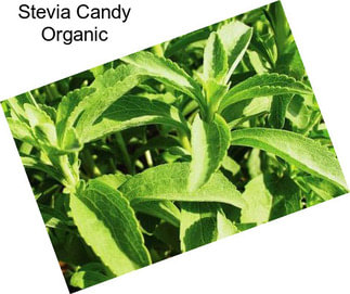 Stevia Candy Organic