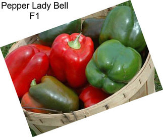 Pepper Lady Bell F1