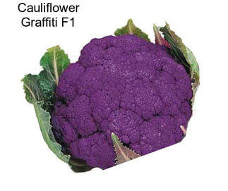 Cauliflower Graffiti F1