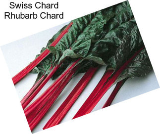 Swiss Chard Rhubarb Chard