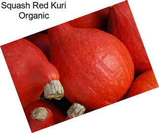 Squash Red Kuri Organic