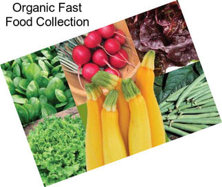 Organic Fast Food Collection