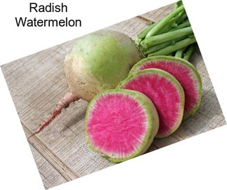 Radish Watermelon