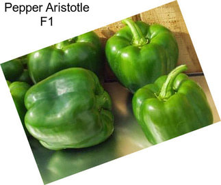 Pepper Aristotle F1