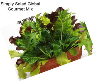 Simply Salad Global Gourmet Mix
