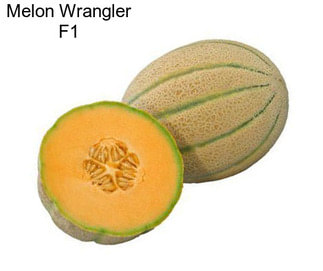 Melon Wrangler F1