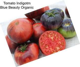 Tomato Indigotm Blue Beauty Organic