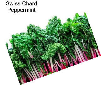 Swiss Chard Peppermint