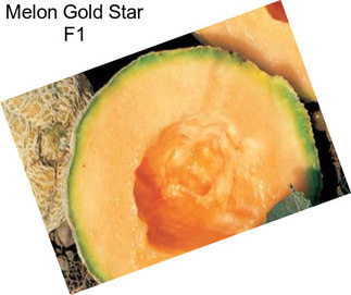 Melon Gold Star F1