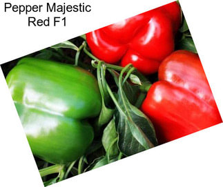 Pepper Majestic Red F1
